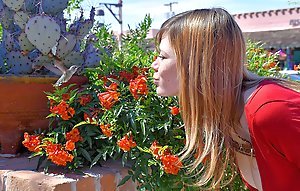 Redhead